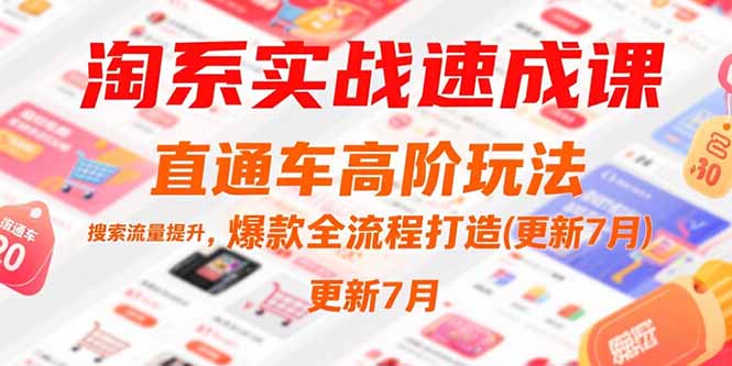 淘系实战速成课 直通车高阶策略 搜索流量翻倍 爆款打造全攻略-九零创业网