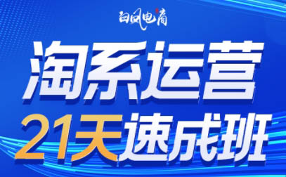 白凤电商·淘系运营21天速成班 7月全新升级版-九零创业网