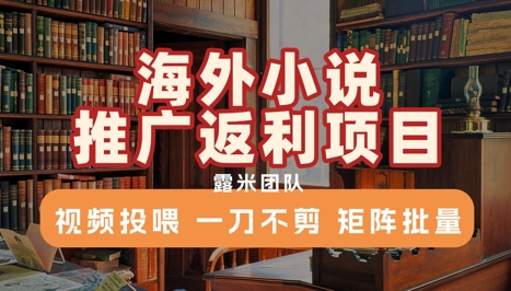 海外小说推广返利 视频矩阵一刀不剪 批量收益新纪元-九零创业网