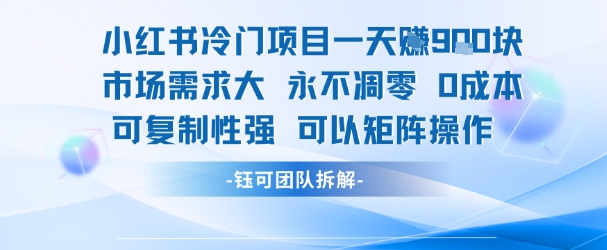 小红书冷门项目 日赚9图 市场需求旺 零成本复制 矩阵操作新商机-九零创业网