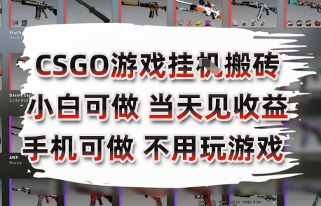 CSGO挂机搬砖手机副业 日赚3张+揭秘攻略