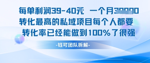 月入7K+ 40元利润 私域项目 转化率100% 高效盈利秘籍