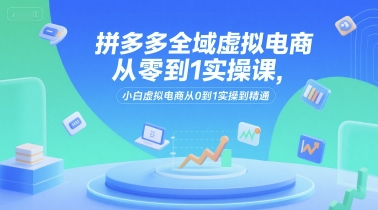 拼多多全域电商实战课 小白精通虚拟电商全攻略