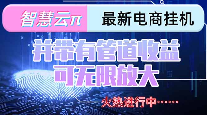 智慧云π电脑挂机 日赚300+ 团队收益无限放大-九零创业网