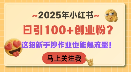 2025年小红书日吸百粉秘籍 新手速成 流量翻倍-九零创业网