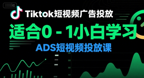TikTok小白必学 轻松入门ADS短视频广告投放-九零创业网