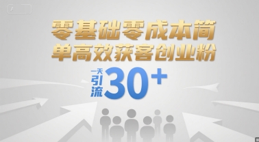 零成本创业 日吸粉30+ 高效获客秘诀-九零创业网