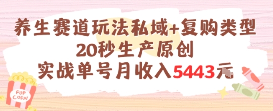 私域养生策略 月入5K+复购秘籍 实战单号打造-九零创业网