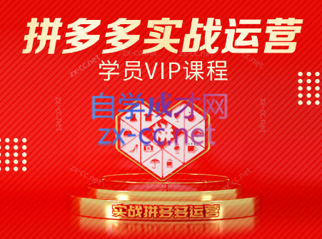 拼多多实战运营秘籍 2025年最新电商课程揭秘-九零创业网