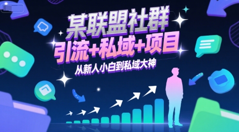 从联盟小白到私域高手 引流项目一步到位