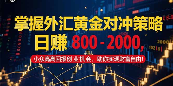 外汇黄金对冲日赚800 2000 小众高回报创业新机遇