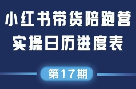 抖音小红书直播带货攻略 11 17期变现秘籍大揭秘-九零创业网