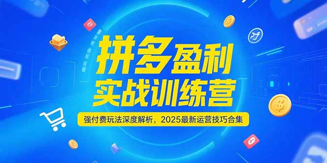 拼多多2025运营秘籍 实战训练营付费玩法全解析 6月更新