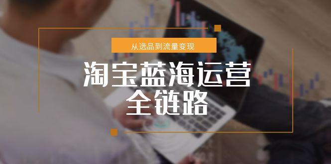 淘宝蓝海运营全链路 小类目突围流量变现攻略-九零创业网