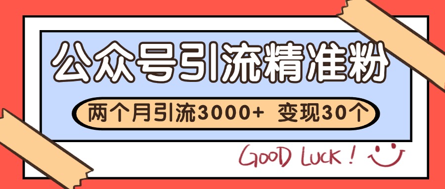 打造个人IP 日吸粉30+ 私域流量池速沉淀