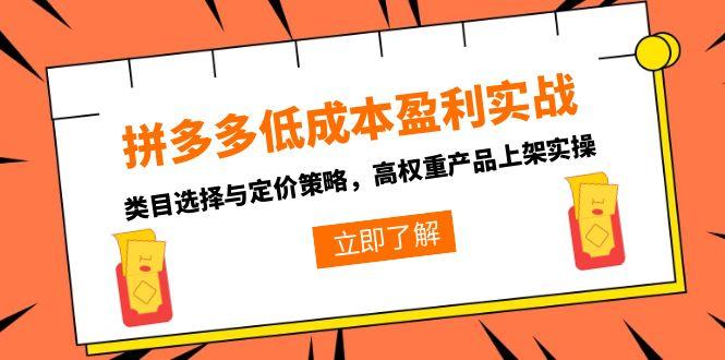 拼多多低成本盈利实战 精准选品与定价策略实操解析-九零创业网