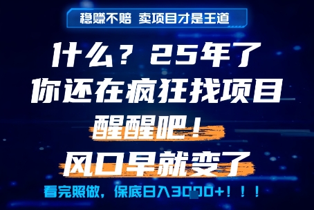 25年项目狂热者觉醒 揭秘成功之道
