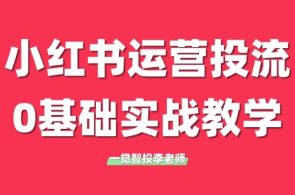 李老师带你从零开始 小红书运营投流实战教程-九零创业网