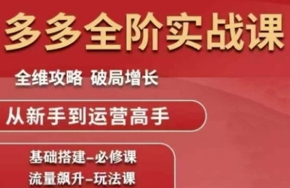 拼多多全阶实战 新手进阶 运营高手速成攻略