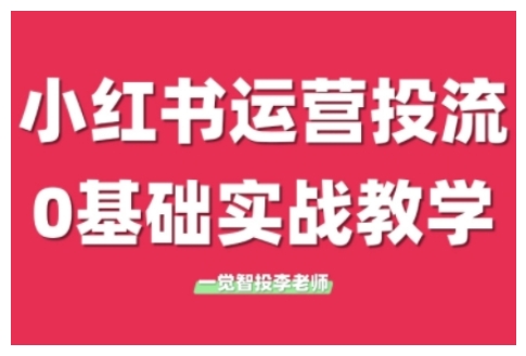 小红书广告投放全攻略 从入门到实战 速成投放达人