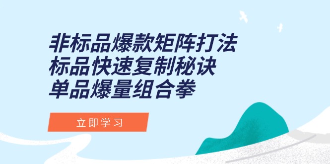 非标爆款矩阵策略 标品复制速成秘籍 单品爆量组合攻略