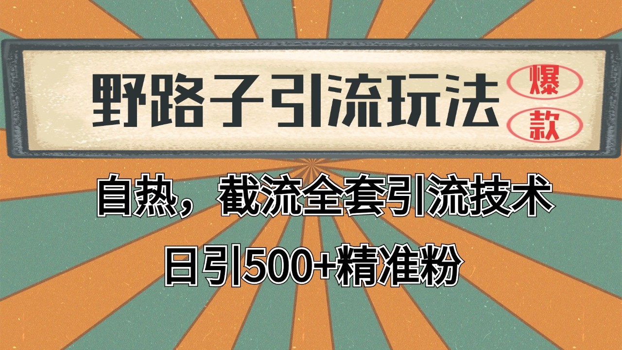 2024野路子引流秘籍 日吸2000+精准客 全平台截流攻略-九零创业网