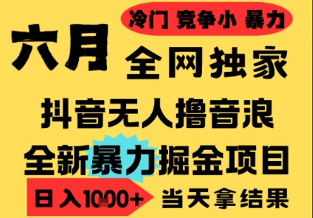 揭秘抖音无人直播 小白日入1k+撸音浪新项目