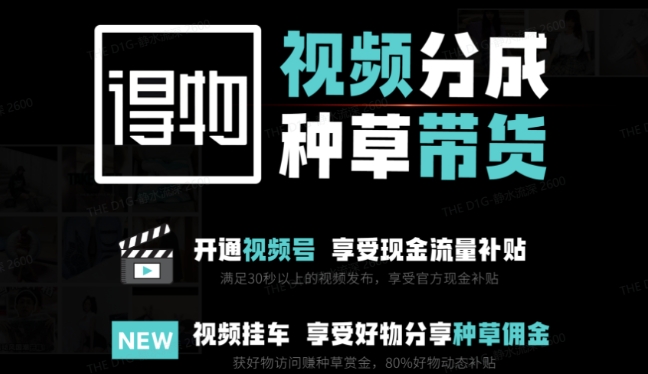 揭秘得物双通道项目 3 7天起号月入3000+-九零创业网