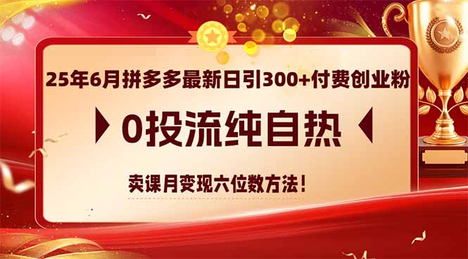 拼多多自热卖课 月入六位数 无流量秘诀大公开-九零创业网