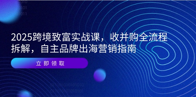 2025跨境致富课 收并购全解 品牌出海攻略-九零创业网
