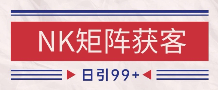 小红书抖音NK赛道引流秘籍 日吸粉200+-九零创业网