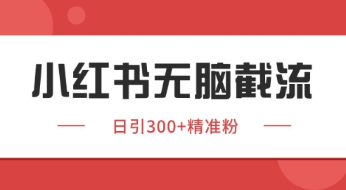 小红书截流秘籍 独家野路子 日吸200+精准客源-九零创业网