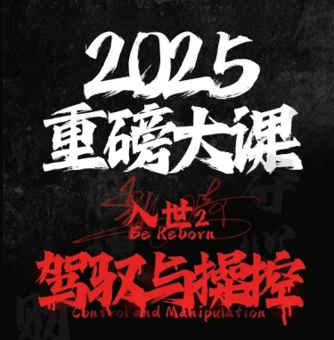 2025驾驭之道 入世2 掌控未来新篇章