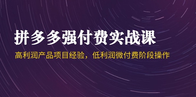 拼多多实战课44期 高利项目揭秘 微付费策略解析
