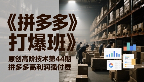 拼多多新策略 44期揭秘高利润付费秘籍