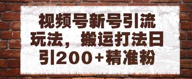 视频号新号快速引流 搬运技巧日增200粉 矩阵放大攻略揭秘-九零创业网