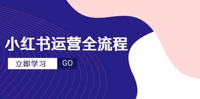 小红书运营攻略 爆款文案+视频技巧 达人进阶秘籍-九零创业网