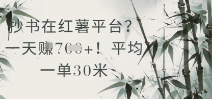 小红薯抄书达人 日入30米 揭秘收益秘诀-九零创业网
