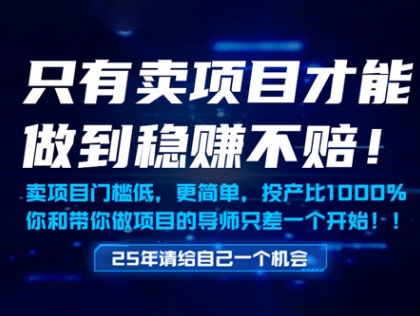 轻松年入百万 只需卖项目 揭秘低门槛盈利术-九零创业网