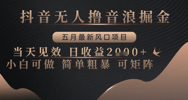 抖音无人撸音浪 五月掘金风口 小白日收益翻倍-九零创业网