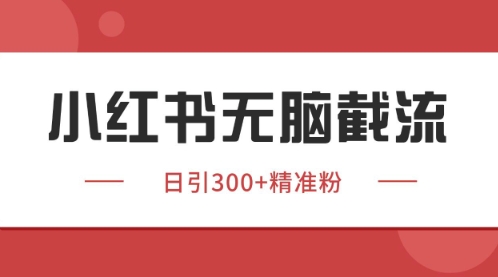 小红书独家获客秘籍 同行助力 截流高手揭秘-九零创业网