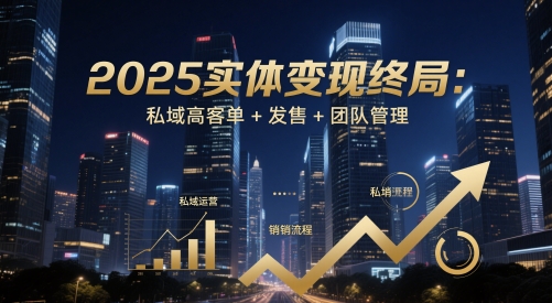 2025实体变现新纪元 私域高客单发售 团队管理升级突破