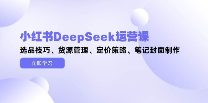 小红书DeepSeek课 选品秘籍 货源管控 定价攻略 封面设计全解析-九零创业网