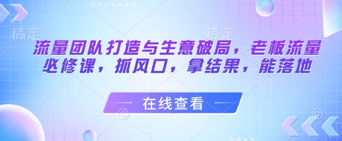 流量团队破局秘籍 老板必学流量课 风口捕捉 成果落地