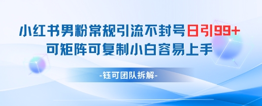 小红书男粉引流秘籍 日增99+粉 小白轻松变现