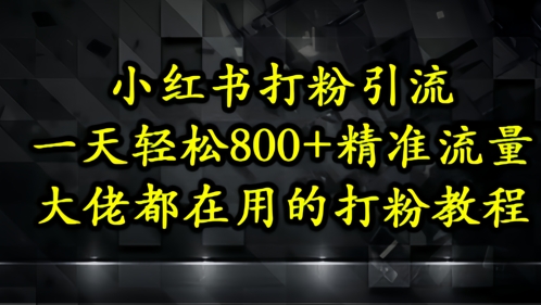 小红书引流秘籍 日增500+精准粉 高效教程速学-九零创业网