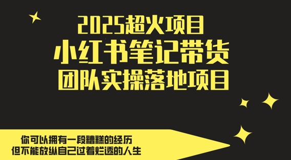 2025热门副业 小红书笔记带货 轻松月入过万团队实操-九零创业网