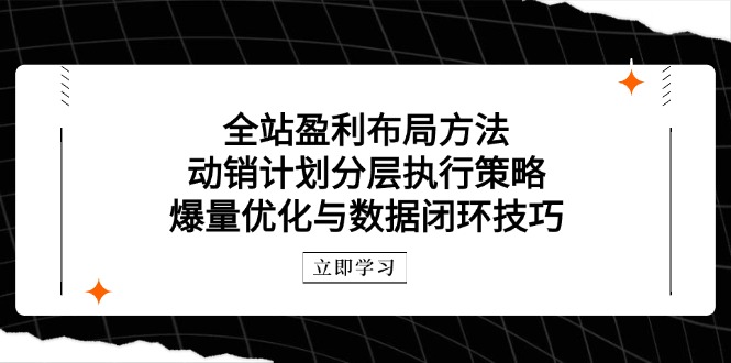 全站盈利攻略 分层动销 爆量优化与数据闭环策略-九零创业网