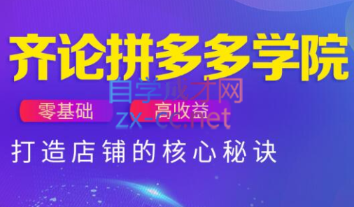 拼多多VIP课程 解锁购物新境界