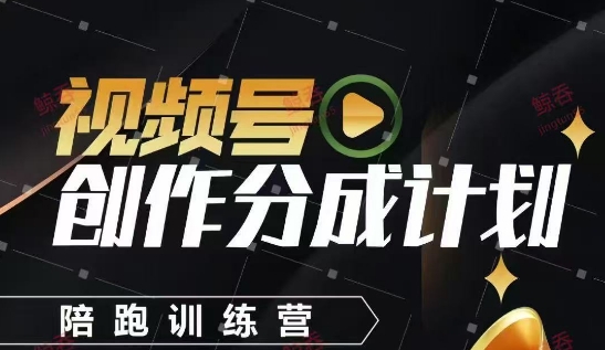 视频号创作高手训练营 轻松上手 打造细水长流收益项目